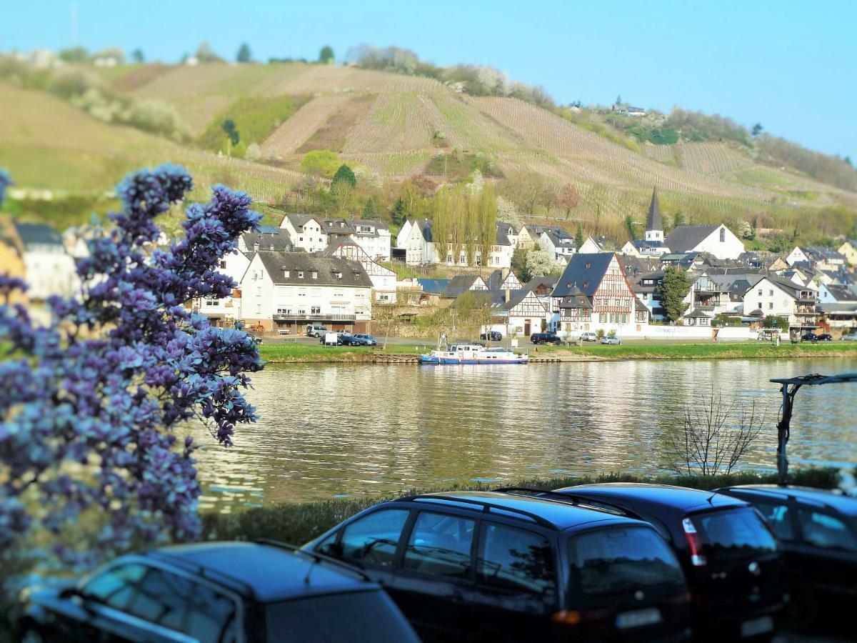 Mosel Ausblick Apartman Zell an der Mosel Kültér fotó