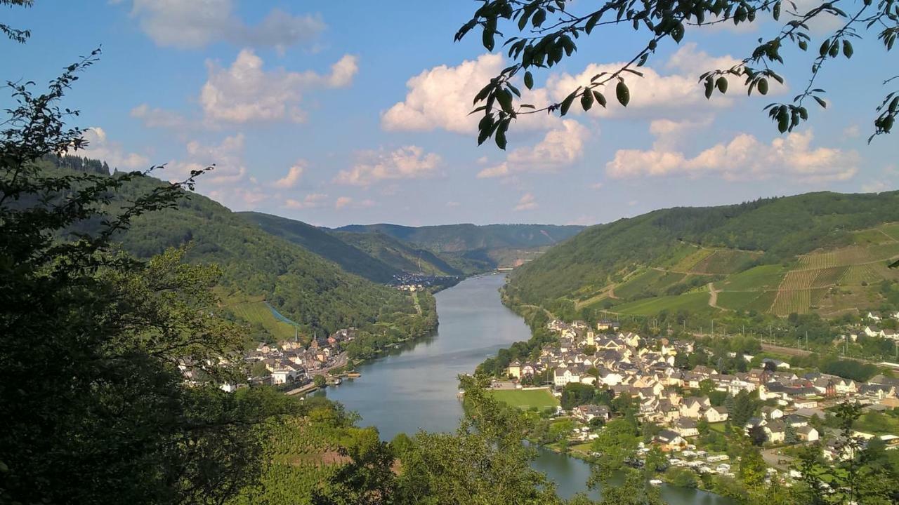 Mosel Ausblick Apartman Zell an der Mosel Kültér fotó